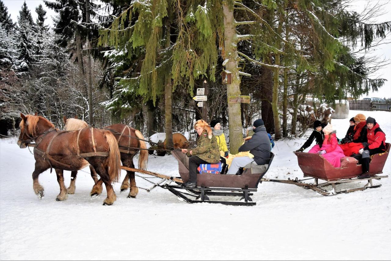 Wigierski Park Narodowy Suwałki Kültér fotó