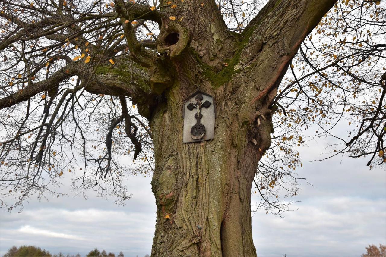 Wigierski Park Narodowy Suwałki Kültér fotó