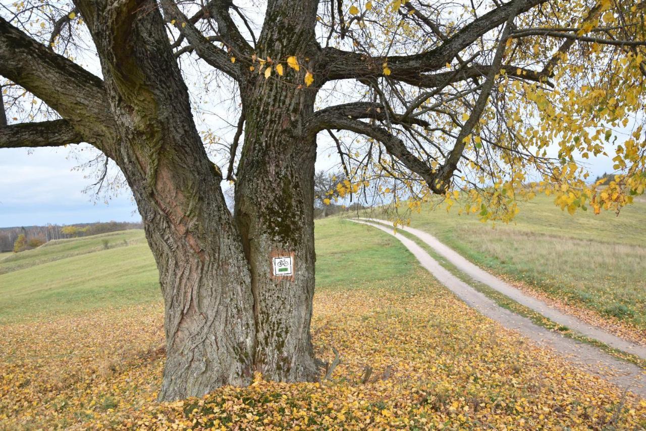 Wigierski Park Narodowy Suwałki Kültér fotó