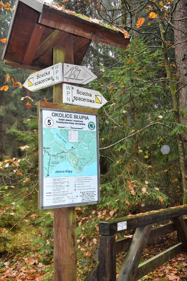 Wigierski Park Narodowy Suwałki Kültér fotó